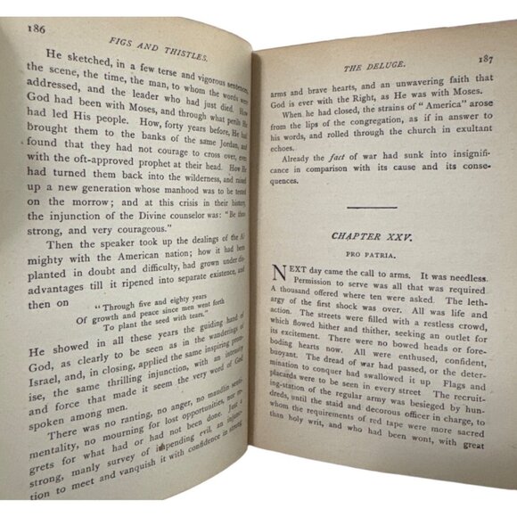 Antique 1879 Book Figs and Thistles Western Reserve Romance Albion Tourgee - Picture 10 of 13